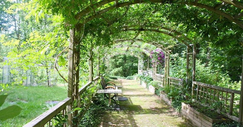 Pergola Brico Dépôt : le bon plan pour un jardin à petit prix