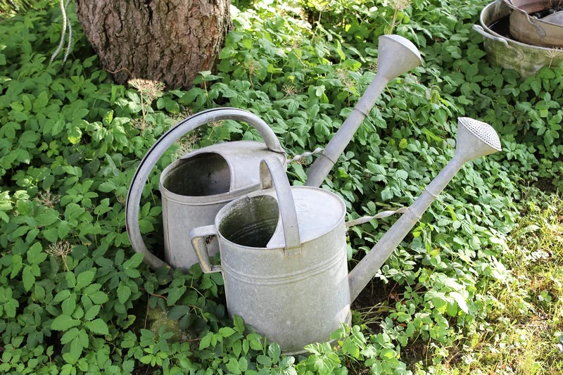 Les vraies tendances déco jardin 2026 — ce que j’ai vu en vrai