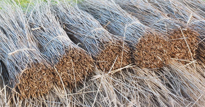 Comment traiter des tuiles poreuses ?