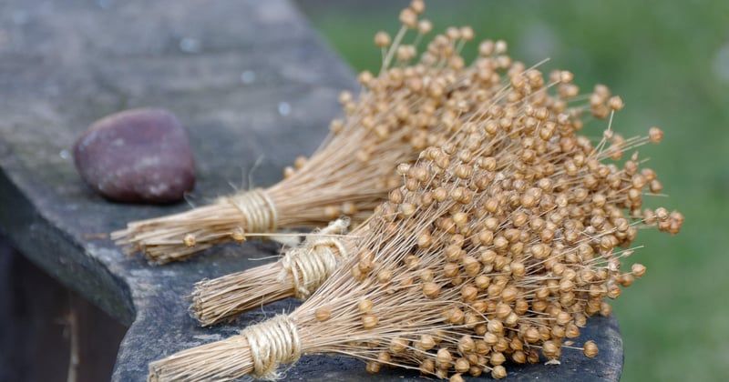 Bouillotte graine de lin sans micro-onde : nos astuces pour la chauffer autrement