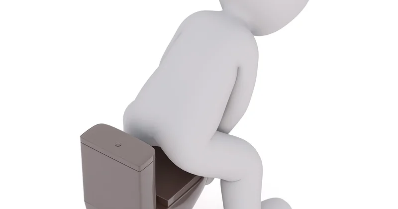 Le cas particulier des toilettes rarement utilisées