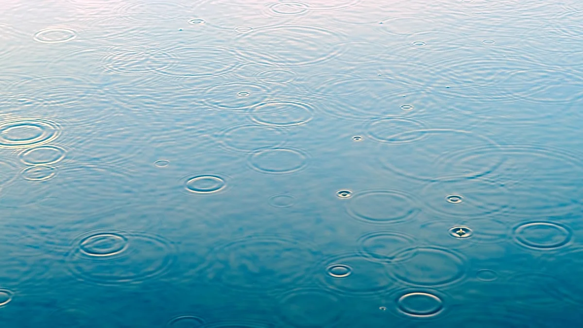 Option 2 : Transformer en citerne d'eau de pluie
