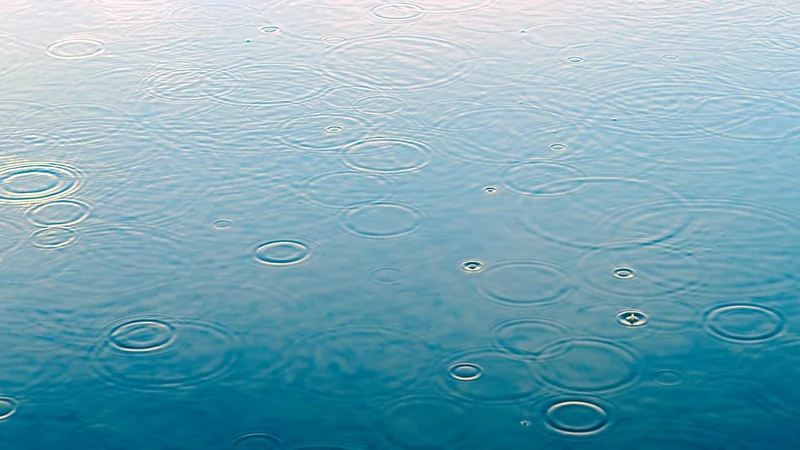 Option 2 : Transformer en citerne d'eau de pluie