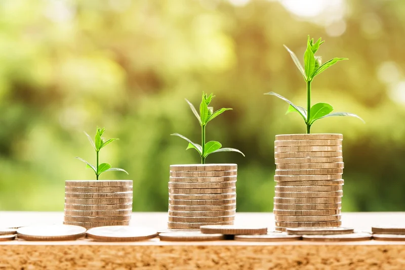 Les astuces pour ne pas payer trop cher