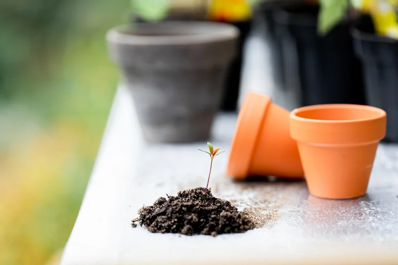 Outils de jardinage 2026 : ce que j'ai testé et ce qui fonctionne vraiment